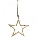 Floristik24 Julepyntstjerne, adventsdekorasjon, stjerneanheng Gylden B15,5cm