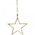 Floristik24 Julepyntstjerne, adventspynt, stjerneheng Gylden B24,5cm