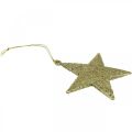 Floristik24 Julepynt stjerneheng gylden glitter 10cm 12stk
