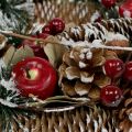 Floristik24 Julekrans med dekorative frukter snødde i Ø33cm