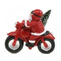 Floristik24 Dekorativ figur julenisse på motorsykkel med gran 19,5×13×16cm