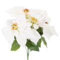Floristik24 Kunstig julestjerne, hvit, storblomstret, dekorativ plante, 40 cm