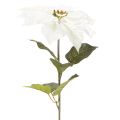 Kunstig hvit julestjerne, stor blomstrende grendekorasjon, 65 cm, 2 stk. | Floristik24.no