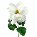 Floristik24 Julestjerne kunstblomst hvit 67cm