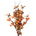 Kunstig hagtorngren, høstdekorasjon, 75 cm | Floristik24.no
