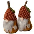 Gnomfigursett med strikket lue og eikenøtt, 10 cm, 6 deler | Floristik24.no