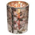 Glasslykt med grendesign,