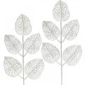 Floristik24 Vinterpynt, deco blader, kunstig gren hvit glitter L36cm 10p