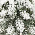 Vinterpynt juletre i grønn hvit Ø7cm H14cm 4stk | Floristik24.no