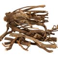 Floristik24 Dekorative tregrener og rotstokker, naturlig tørket, 18 cm, 500 g