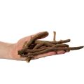 Dekorative tregrener og rotstokker, naturlig tørket, 18 cm, 500 g | Floristik24.no