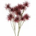 Floristik24 Xanthium kunstig blomst høstdekorasjon rød 6 blomster 80cm 3stk