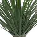Floristik24 Kunstig yucca palme i potte Kunstig palme potteplante H52cm