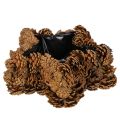 Floristik24 Kongleformet blomsterkasse, stjerneformet, 30 cm