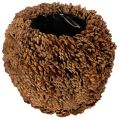 Floristik24 Dekorativ blomsterkasse med kongler, naturlig utseende, 27 cm. Rund konglepotte, naturbrun, laget av kongler, 27 cm x 22 cm.