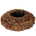 Floristik24 Rund konglepotte som blomsterkasse, 38 cm; rund konglepotte, naturbrun, laget av kongler, 38 cm x 14 cm
