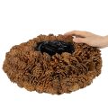 Rund konglepotte som blomsterkasse, 38 cm; rund konglepotte, naturbrun, laget av kongler, 38 cm x 14 cm | Floristik24.no