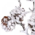 Floristik24 Julegren dekorativ grenkjegle gren snødekt 72cm