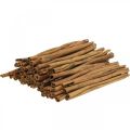 Floristik24 Dekorative kanelstenger, kanel til borddekorasjon, 25 cm, 500 g