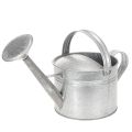 Floristik24 Vintage vannkanne i sink, 27 cm - blomsterpotte til hage og terrasse, metallblomsterpotte