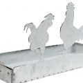 Floristik24 Sinkskål med kyllinger 30cm x 12cm H15,5cm
