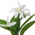 Deco gren sitron og blomster kunstig gren sommerpynt 26cm 4stk | Floristik24.no