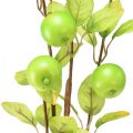 Floristik24 Kunstig dekorativ eplegren grønn 80cm