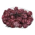 Floristik24 Sypresskjegler frostet naturdekor 3cm mørk rød 500g