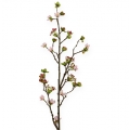 Floristik24 Cherry Blossom Branch Rosa 95cm