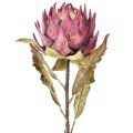 Floristik24 Kunstig artisjokk Stor kunstig blomst Tørrlook Lilla 76cm