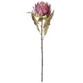 Kunstig artisjokk Stor kunstig blomst Tørrlook Lilla 76cm | Floristik24.no