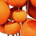 Floristik24 Bell Cup Mix på pinne Orange 15stk