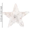 Mini bjørkestjerner 2 cm - 2,5 cm hvitkalkede 150 stk | Floristik24.no