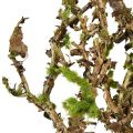 Dekorativ gren med mose kunstig høstdekor grågrønn L78cm | Floristik24.no