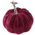 Dekorative gresskar flokket burgunder rosa Ø13cm H11,5cm 3 stk. | Floristik24.no