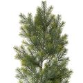 Floristik24 Kunstig grangrenkrans for kreativ blomsterdekorasjon, 175 cm