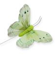 Floristik24 Dekorativ sommerfugl på trådgrønn 8cm 12stk