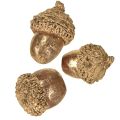 Gyldne høstfrukter, festlige høstdekorasjoner, naturlige dekorative eikenøtter, adventsdekorasjon Ø1,5 – 2,5 cm L1,5 – 3 cm 300 g | Floristik24.no