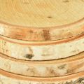 Treskiver med bark Bjørkeskive natur Ø9-10cm 7 stk | Floristik24.no