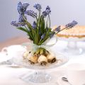 Klassisk kakefat i glass til fots - Elegant for hver feiring Ø 20cm | Floristik24.no