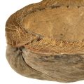 Kokosblomstkasse, naturlig, 20 cm, 5 stk. | Floristik24.no