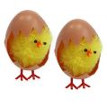 Floristik24 Chenille kyllinger 6,5 cm i eggegule 4stk
