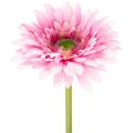 Floristik24 Kunstige gerberablomster til hagen, rosa, 47 cm, 6 stk.