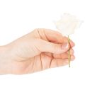 Kunstig rose, kremfarget, 10 cm blomst på stilk, 100 stk. | Floristik24.no