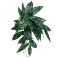 Floristik24 Kunstig Begonia Kunstplante Grønn, Mørk Grønn 42×28cm