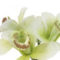 Floristik24 Kunstige orkideer kunstige blomster i vase hvit/grønn 28cm