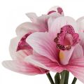 Floristik24 Kunstige orkideer kunstige blomster i vase hvit/rosa 28cm