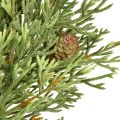 Liten kunstig grankrans, grønn med kongler, Ø24 cm, jul | Floristik24.no