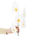 Kunstig calla med gul støvbærer, dekorative blomster, 35 cm, 10 stk. | Floristik24.no