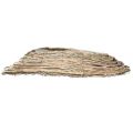 Plantebåt plante bølgerotting naturhvit 45x16cm | Floristik24.no
